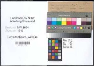 Entnazifizierung Wilhelm Schleifenbaum , geb. 25.02.1874 (Schlosser)