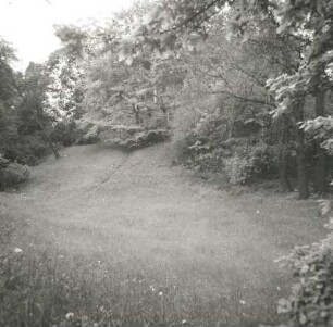 Cottbus. Schloßberg. Parkpartie mit Anhöhe von Norden