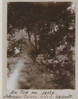 Am Teich von sataf. Zickermann [als Fotograf?]. Dalman, Fenner, Eckehardt [Eckardt].