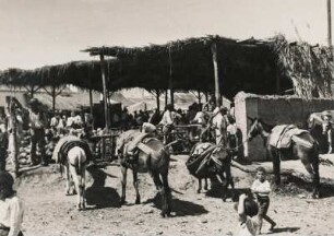 Spanien. Markttreiben in einer spanischen Kleinstadt bei Cordoba.