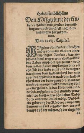 Das XXVII. Capitel. - Das XXX. Capitel.