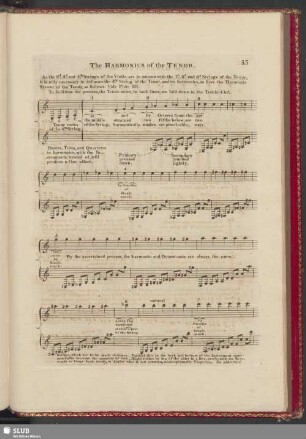 The Harmonics of the Tenor