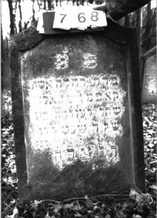 Grabstein 768