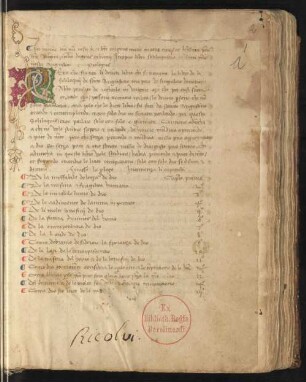 Initiale P mit Rankenwerk