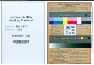 Entnazifizierung Toni Bremicker , geb. 07.02.1900 ()