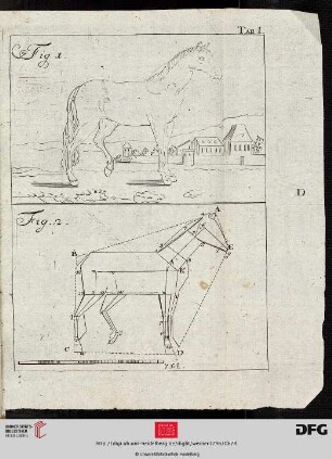 Tab. I [Pferd (Ausführung; Proportionen)]
