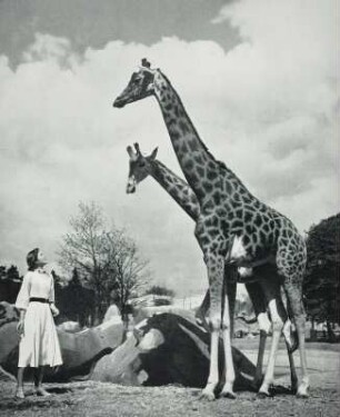 Modeaufnahme, Modell Ludmila Feodoseyevna im Zoo (Vogue)