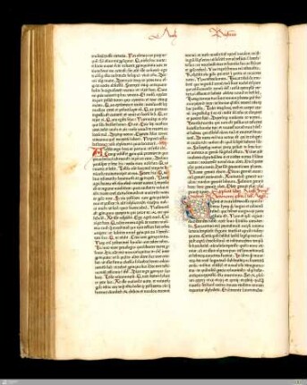 Liber primus Regum [1. Samuel]