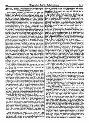 Idioten, Hunde, Deutsche und Psychologen