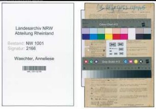 Entnazifizierung Anneliese Waechter, geb. 26.05.1913 (Verkaeuferin)