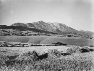 Ernte : Blick auf die Ernte von Wicken und Hafer zur Futtergewinnung, im Hintergrund Berge