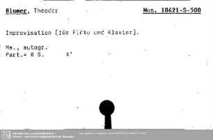 Blumer, Theodor