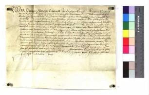 Lehenbrief Propst Ottos zu Ellwangen für Hans Kreß über ein halbes Tagwerk und Drittel Wiesen im Kirnbach zu Pfahlheim