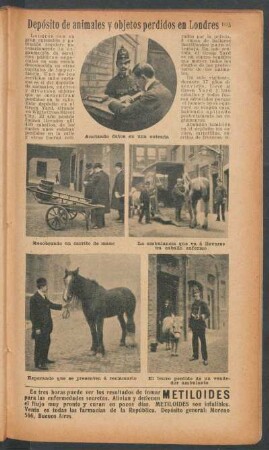 Depósito de animales y objetos perdidos en Londres