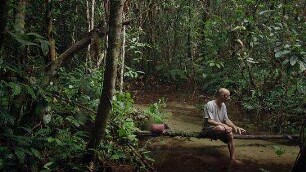 Song from the Forest