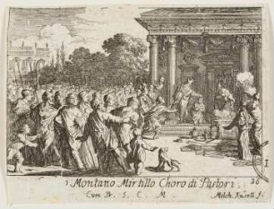 Carino Montano Mirtillo Chori di Pastori