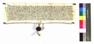 Katharina Horlacherin bekundet: Sie kaufte von Konz Mangolt von Unterscheffach [wie U 1119].