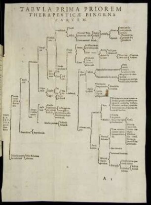 Tabula Prima Priorem Therapeuticae Pingens Partem.