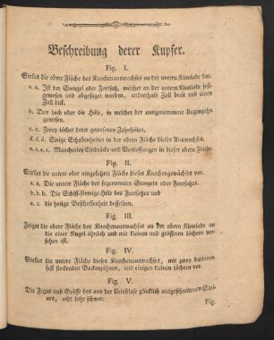 Beschreibung derer Kupfer.