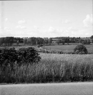 Travetal: vorn Wiese mit Gräsern und Büschen: hinten Trave zwischen Feldern und Weiden: im Hintergrund Knicklandschaft