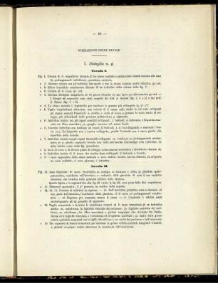 Spiegazione Delle Tavola