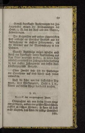 §. 21. Kritik der vorgetragenen Ideen.