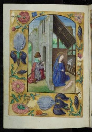 Miniatur-Seite: (Prim) Geburt Christi; Trompe l'oeil-Rahmen mit Blütenzweigen und Insekten