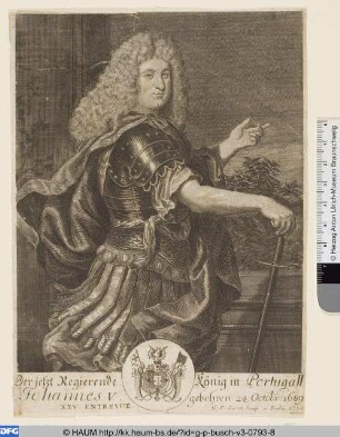 Johannes V., König von Portugal