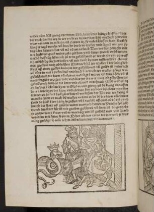 Der Pilger auf dem Esel trifft die bekrönte Natter wieder ; (Kapitel XIV: Von dem Goldschmied, dem Affen, der Natter und Schlange).