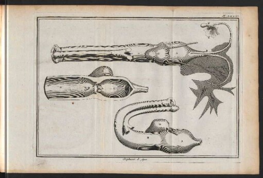 Elephant. 3.figure