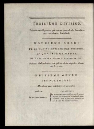 Troisiéme Division Douziéme Ordre