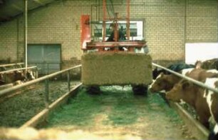 Fotografie: Fütterungstechnik, Futtervorlage, Futtertisch, Siloblockschneider, Maissilage
