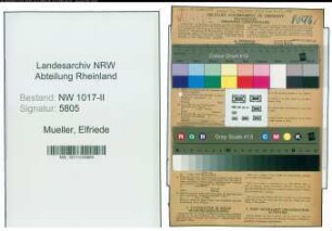 Entnazifizierung Elfriede Mueller , geb. 18.08.1894 (Kaufmaennische Angestellte)