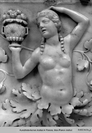 Camerino di alabastro : Ornamentrelief mit Phönix