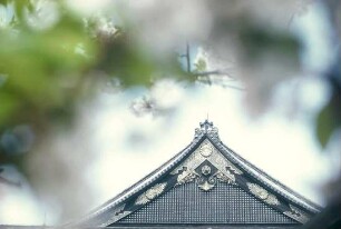 Japan. Kirschblütenzeit im Tempelbereich // Cherry blossoms near temples