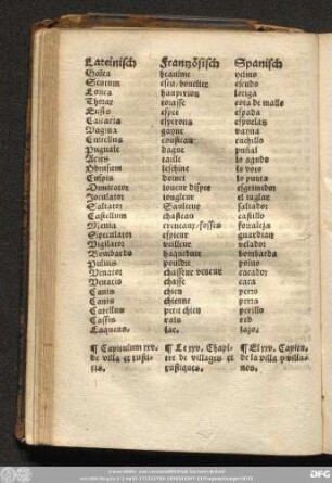 Capitulum xxv. de villa et rusticis.