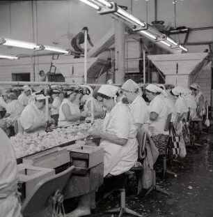 Kartoffelschälerinnen : Köhra. Arbeiterinnen eines Kartoffelverarbeitungsbetriebes beim Kartoffel schälen