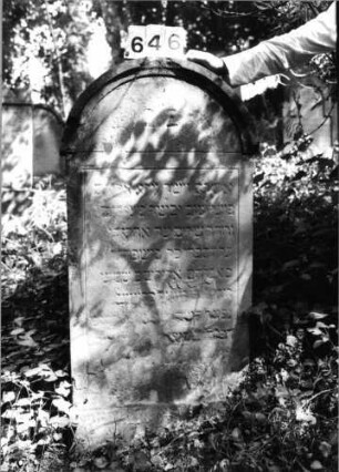 Grabstein 646 (Index: 99802955) Material: Sandstein Zustand: verwittert/Textverlust Maße HxBxT: 124x60x12 cm Beschreibung: Stele mit verdachtem Rundbogen: Grabstein 646