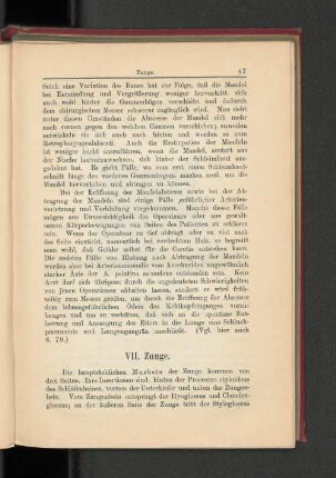 VII. Zunge.