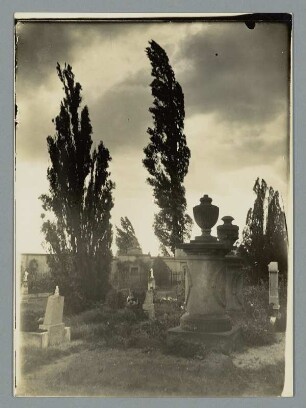 Vom Herbststurm gebeugt, alter Friedhof zu Panitzsch : Panitzsch bei Wurzen. Alter Friedhof, Grabsteine