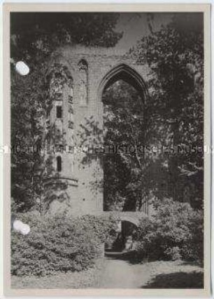 Greifswald, Zisterzienserkloster Eldena
