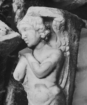 Putto