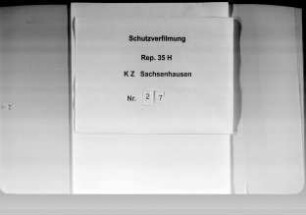 Berichte über den Todesmarsch