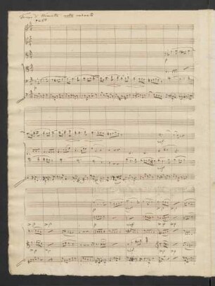 Tempo di Minuetto. Molto moderato