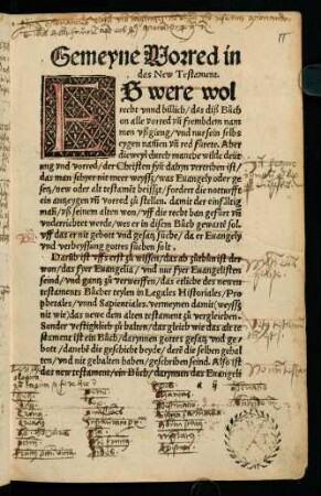 IIr-Vr, Gemeyne Vorred in das New Testament.