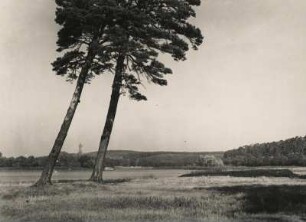 West-Berlin. Blick über die Havel zum Grunewaldturm, einem auf dem Karlsberg gelegenen Aussichtsturm am westlichen Waldrand des Grunewalds