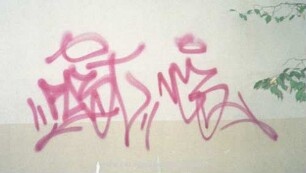 "PASt" NCS