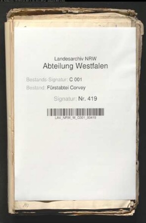 Geistliche Jurisdiktion in Marsberg - Gutachten; Prozeßbeilagen