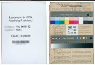 Entnazifizierung Elisabeth Gross , geb. 11.03.1901 ()
