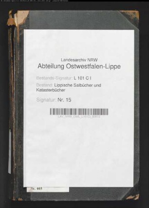 Salbuch der Stadt Detmold von 1854, Bd. 4 (Duplikat)